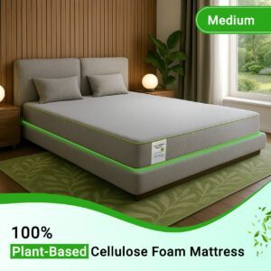 Aer Mattress Medium